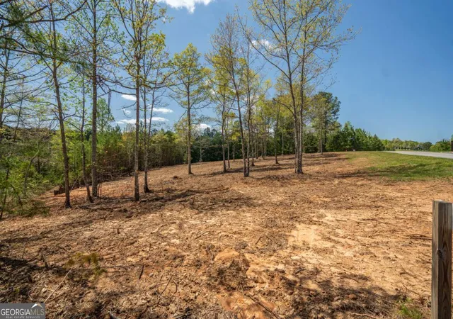Photo 4 of Land for sale at Lot 41 Sandy Lake Ln, Blairsville, GA 30512 | MLS# 10512186 | Listing updated on 2026-10-09