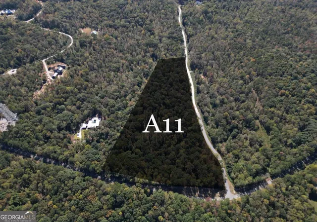 Land for sale at 11300 Hutcheson Fry Rd, Palmetto, GA 30268 | MLS# 10879372