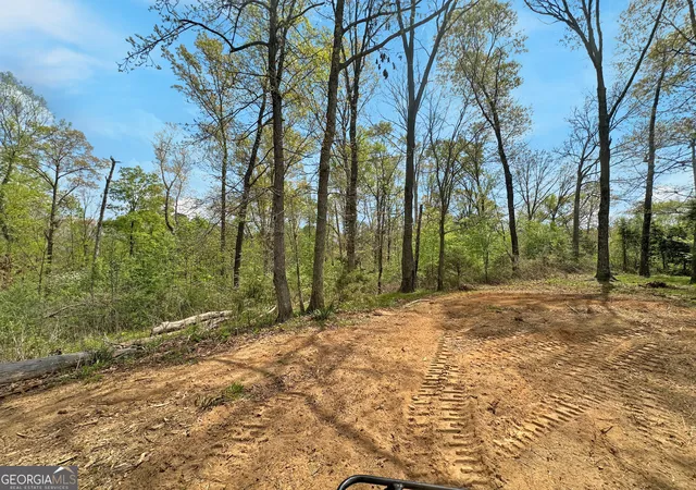 Homes for sale in Eastanollee, GA | 0 Broad River Rd Rd #LOT 6, Eastanollee, GA 30538 | MLS# 10725282