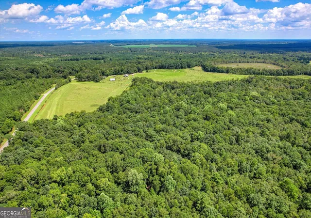 Homes for sale in Louisville, GA | 3280 Eden Church Rd, Louisville, GA 30434 | MLS# 10774095
