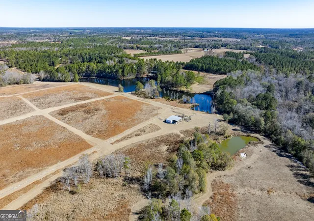 Homes for sale in Claxton, GA | 2685 Carters Bridge Road, Claxton, GA 30417 | MLS# 10677188