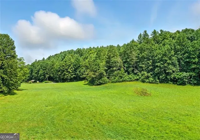 1st image of 0 Old Bucktown Road, Ellijay, GA 30536 | MLS# 10583941