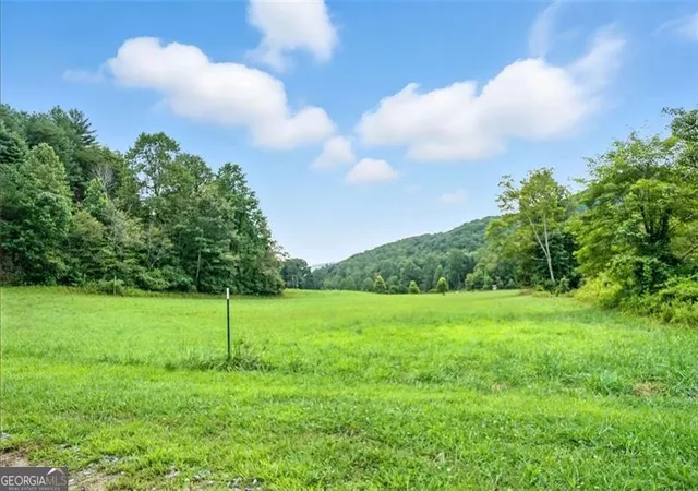 5th image of 0 Old Bucktown Road, Ellijay, GA 30536 | MLS# 10583941
