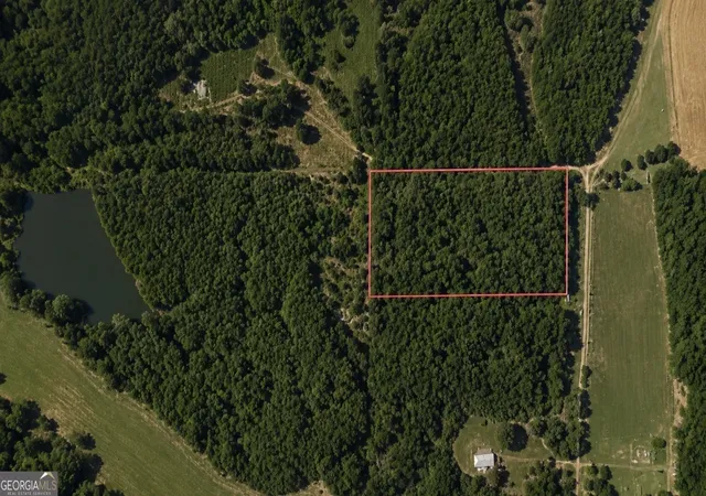 Homes for sale in Greenville, GA | 0 Persimmon Ln, Greenville, GA 30222 | MLS# 10762834