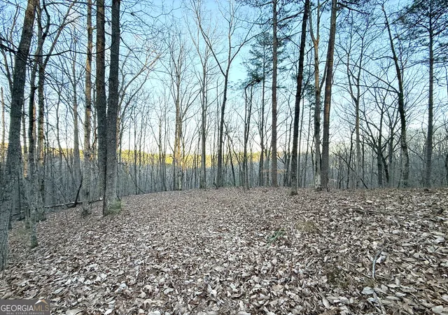 Photo 1 of Land for sale at 128 Adair Dr, Ranger, GA 30734 | MLS# 10673604 | Listing updated on 2026-01-30