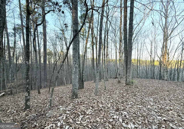 Photo 2 of Land for sale at 128 Adair Dr, Ranger, GA 30734 | MLS# 10673604 | Listing updated on 2026-01-30