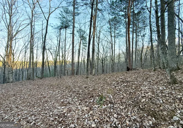 Photo 3 of Land for sale at 128 Adair Dr, Ranger, GA 30734 | MLS# 10673604 | Listing updated on 2026-01-30