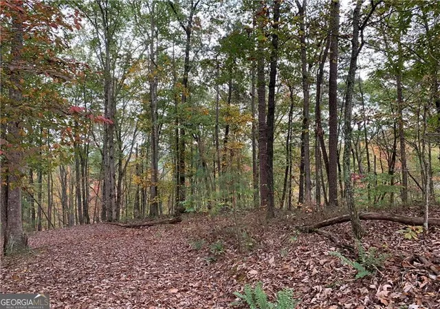 Photo 3 of Land for sale at 128 Adair Dr, Ranger, GA 30734 | MLS# 10673604 | Listing updated on 2026-01-30