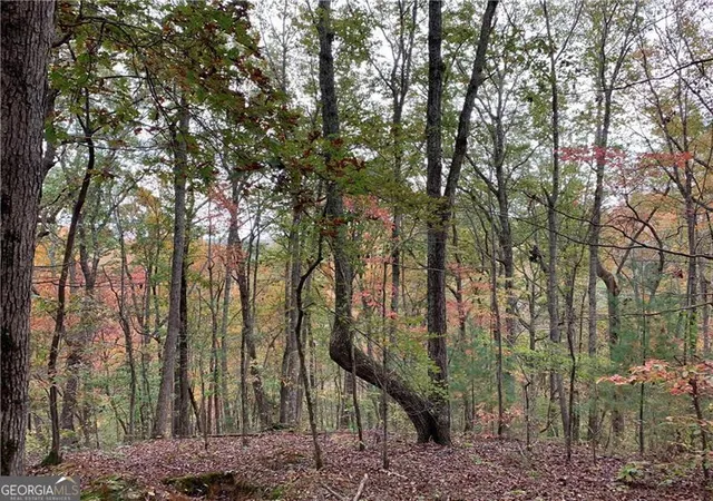 Photo 4 of Land for sale at 128 Adair Dr, Ranger, GA 30734 | MLS# 10673604 | Listing updated on 2026-01-30