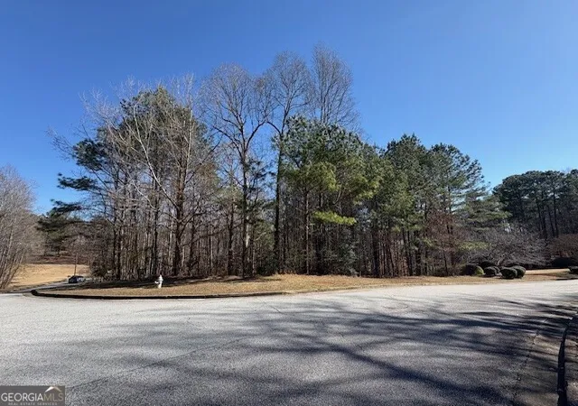 Homes for sale in Douglasville, GA | 4440 Bronte Ln, Douglasville, GA 30135 | MLS# 10685529