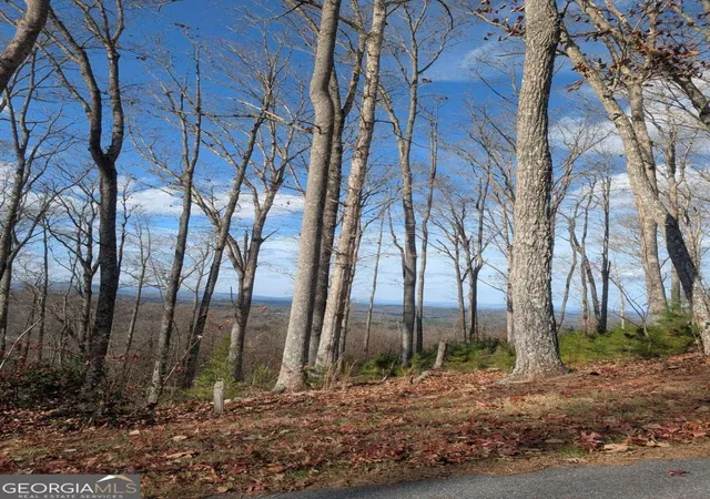 1st image of Lot 91 Winding Rdg, Blairsville, GA 30512 | MLS# 10649393