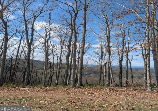 2nd image of Lot 91 Winding Rdg, Blairsville, GA 30512 | MLS# 10649393