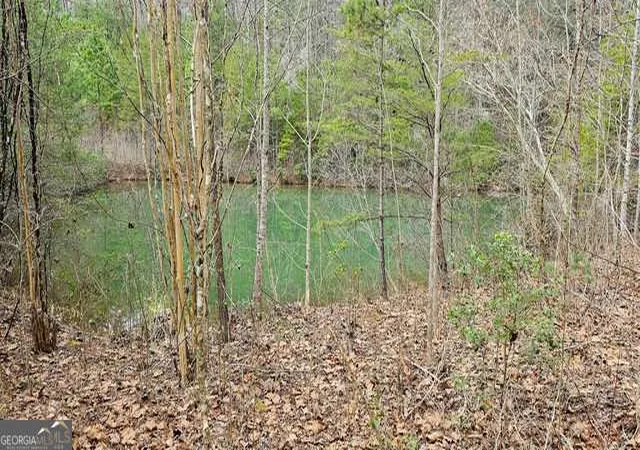 5th image of 0 Barnockbum Cir #15, Clayton, GA 30525 | MLS# 10615834