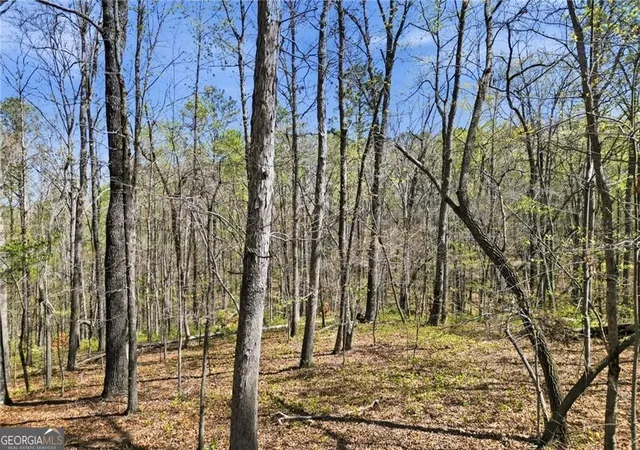 Photo 3 of Land for sale at 121 Heritage Plantation Dr, Ball Ground, GA 30107 | MLS# 10732194 | Listing updated on 2026-06-18