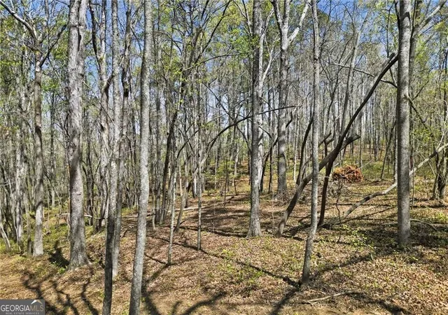 Photo 4 of Land for sale at 121 Heritage Plantation Dr, Ball Ground, GA 30107 | MLS# 10732194 | Listing updated on 2026-06-18