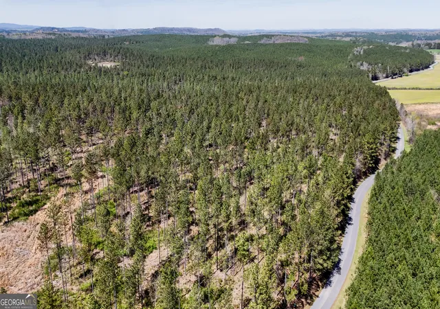 1st image of 20 Acres Youngs Farm Rd, Cedartown, GA 30125 | MLS# 10809908