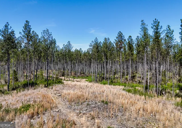 3rd image of 20 Acres Youngs Farm Rd, Cedartown, GA 30125 | MLS# 10809908
