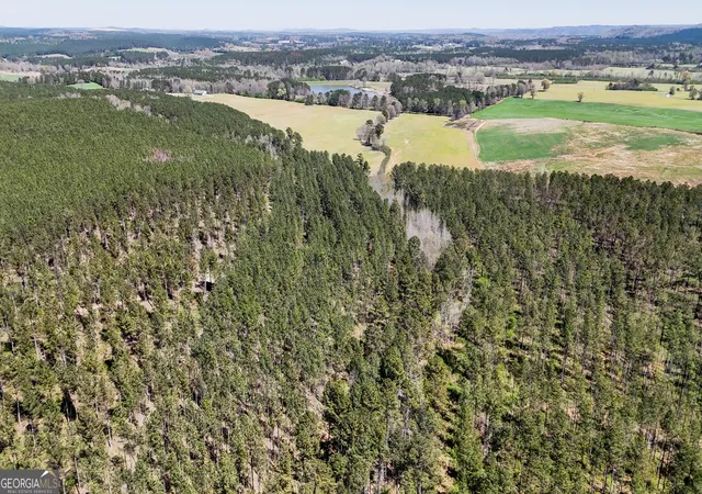 4th image of 20 Acres Youngs Farm Rd, Cedartown, GA 30125 | MLS# 10809908