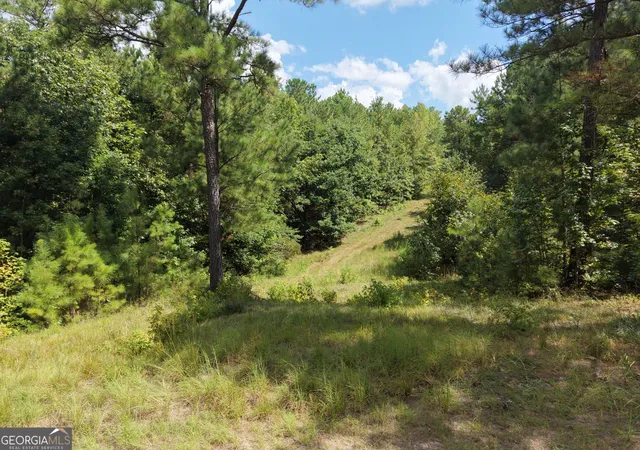 Photo 2 of Land for sale at 490 Sparta Hwy, Milledgeville, GA 31061 | MLS# 10836579 | Listing updated on 2026-09-14