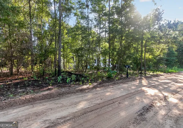 40th image of 219 Compass Rd, Jesup, GA 31545 | MLS# 10778488