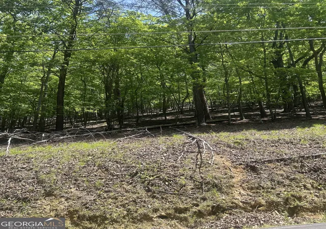 Photo 2 of Land for sale at 381 Hillside Dr, Waleska, GA 30183 | MLS# 10759926 | Listing updated on 2026-09-04