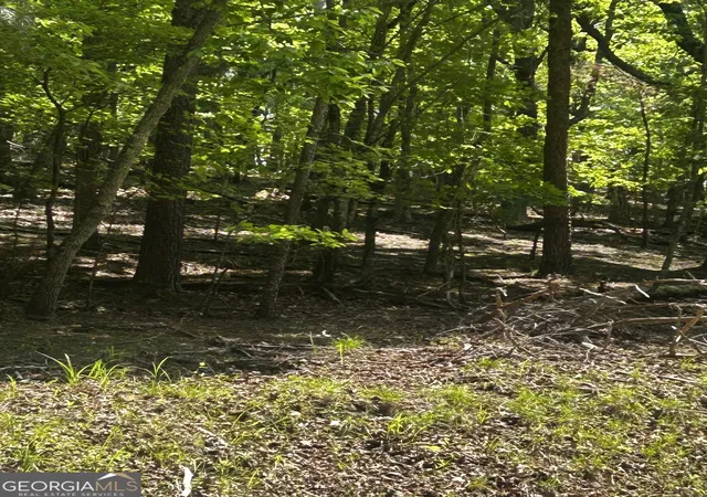 Photo 3 of Land for sale at 381 Hillside Dr, Waleska, GA 30183 | MLS# 10759926 | Listing updated on 2026-09-04