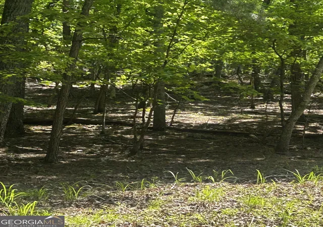 Photo 3 of Land for sale at 381 Hillside Dr, Waleska, GA 30183 | MLS# 10759926 | Listing updated on 2026-09-04