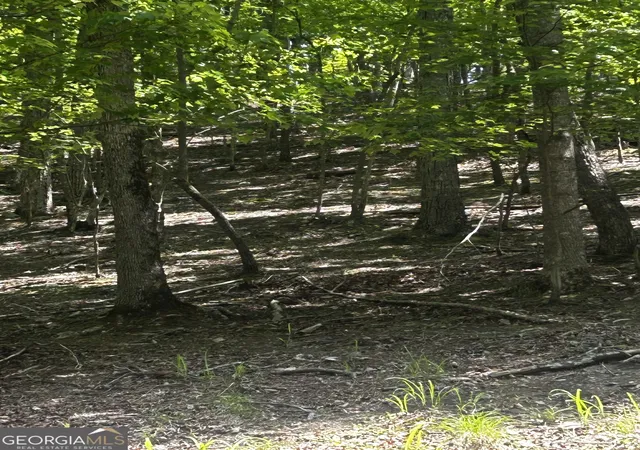 Photo 4 of Land for sale at 381 Hillside Dr, Waleska, GA 30183 | MLS# 10759926 | Listing updated on 2026-09-04