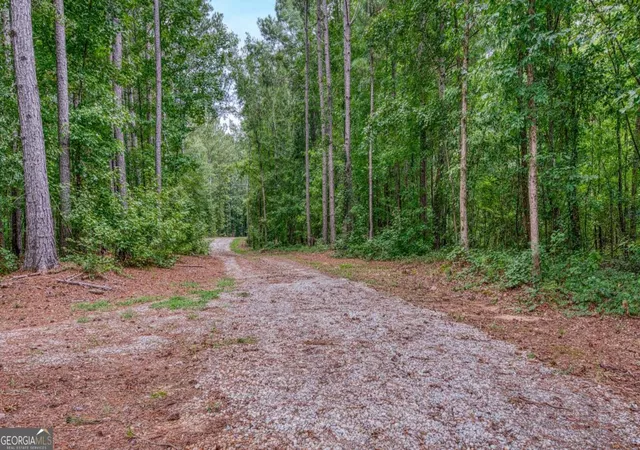Photo 3 of Land for sale at 140 Levi Trl, Nicholson, GA 30565 | MLS# 10584555 | Listing updated on 2026-09-06