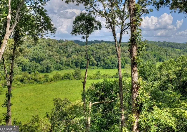 Photo 3 of Single family home for sale at 1729 Barnes Chapel Rd, Blue Ridge, GA 30513 | MLS# 10812331 | Listing updated on 2026-09-20