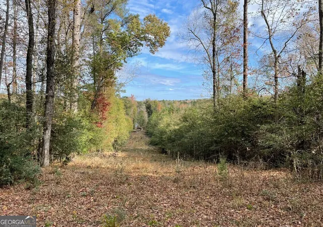 Photo 3 of Land for sale at 1775 Brown Rd, Hephzibah, GA 30815 | MLS# 10733101 | Listing updated on 2026-04-29