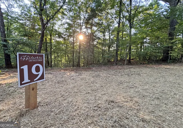 4th image of Lot 19 Mt Springer Rd, Ellijay, GA 30540 | MLS# 10797138