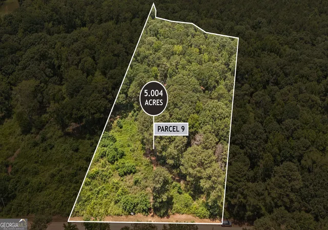 Homes for sale in Culloden, GA | 79 Askin Pl, Culloden, GA 31016 | MLS# 10802455