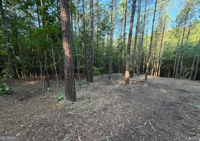 Photo 1 of Land for sale at 0 Lone Bear Path, Dallas, GA 30132 | MLS# 10810038 | Listing updated on 2026-09-27
