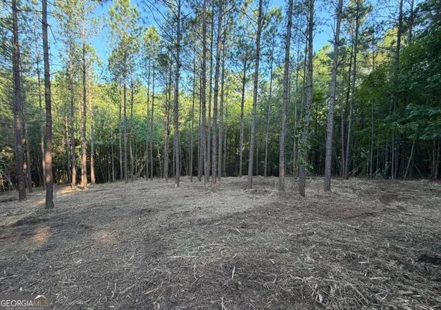 Photo 2 of Land for sale at 0 Lone Bear Path, Dallas, GA 30132 | MLS# 10810038 | Listing updated on 2026-09-27