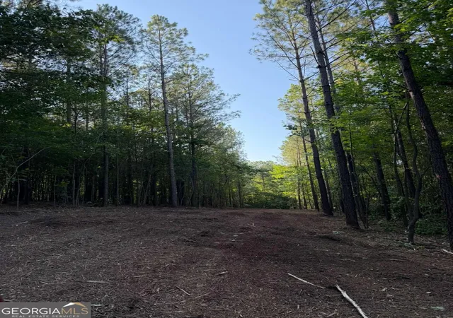 Photo 3 of Land for sale at 0 Lone Bear Path, Dallas, GA 30132 | MLS# 10810038 | Listing updated on 2026-09-27