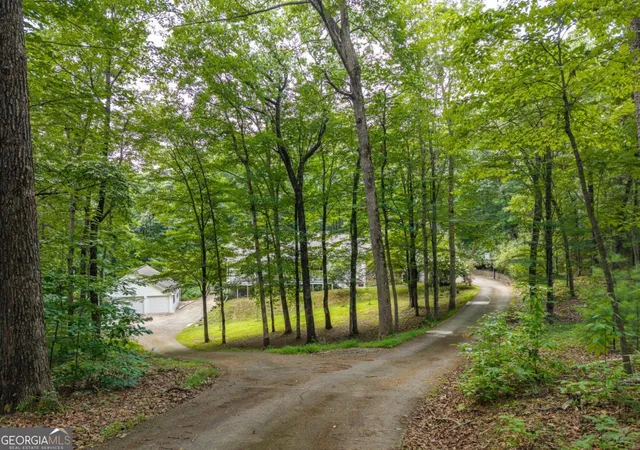 2nd image of 387 Leonard Evans Rd, Ellijay, GA 30540 | MLS# 10818620