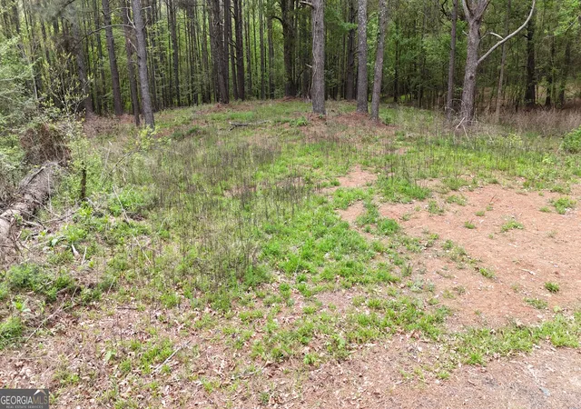 11th image of 0 Plantation Rd #TRACT 1, Madison, GA 30650 | MLS# 10804418