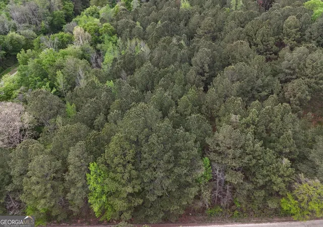 2nd image of 0 Plantation Rd #TRACT 1, Madison, GA 30650 | MLS# 10804418