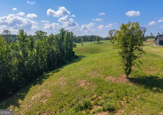 57th image of 14237 County Road 82, Woodland, AL 36280 | MLS# 10800079
