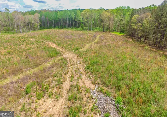 2nd image of 2185 Hwy 85, Senoia, GA 30276 | MLS# 10725454