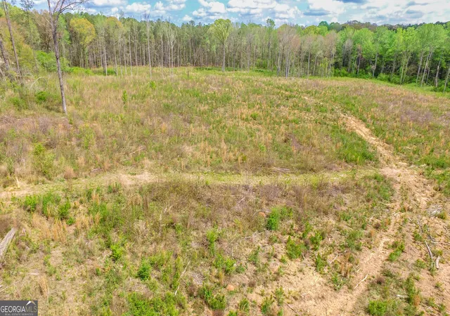 3rd image of 2185 Hwy 85, Senoia, GA 30276 | MLS# 10725454