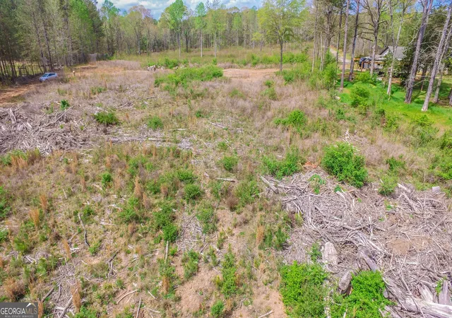5th image of 2185 Hwy 85, Senoia, GA 30276 | MLS# 10725454