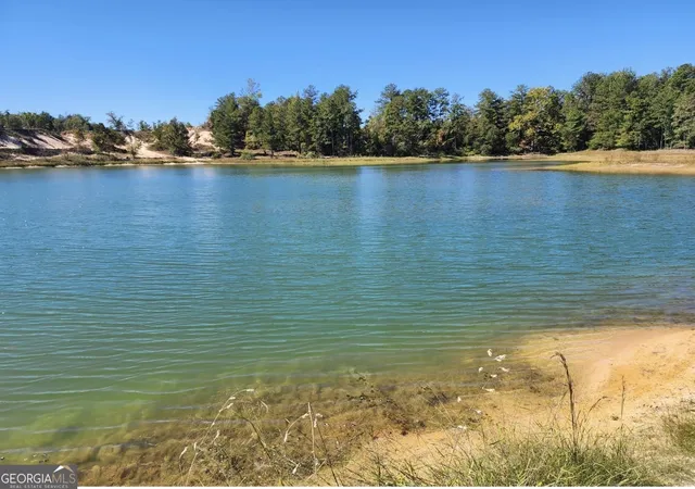 17th image of 0 Neal Rd, Junction City, GA 31812 | MLS# 10805526