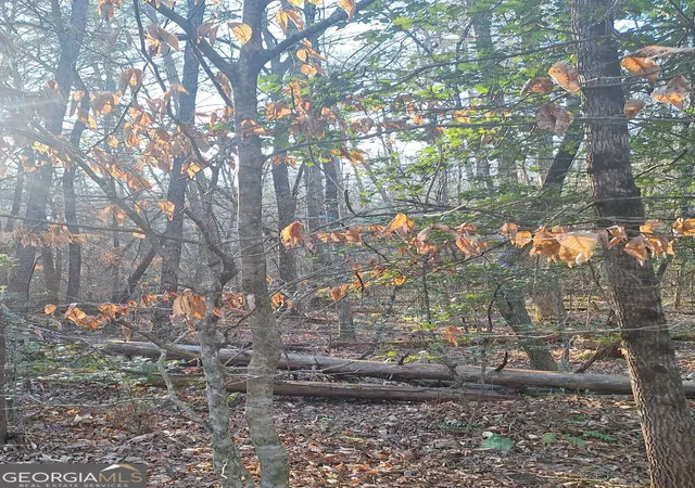 Photo 2 of Land for sale at 0 Bent Wood Ln, Blue Ridge, GA 30513 | MLS# 10690052 | Listing updated on 2026-06-03