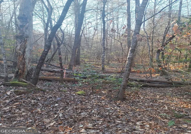 Photo 3 of Land for sale at 0 Bent Wood Ln, Blue Ridge, GA 30513 | MLS# 10690052 | Listing updated on 2026-06-03