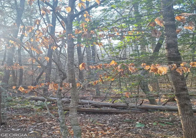 Photo 3 of Land for sale at 0 Bent Wood Ln, Blue Ridge, GA 30513 | MLS# 10690052 | Listing updated on 2026-06-03