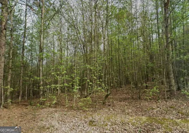 Photo 1 of Sale Pending at 0 Mitchell Rd, Maysville, GA 30558 | MLS# 10832993 | Listing updated on 2026-09-16