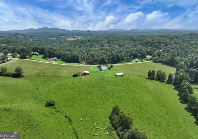 65th image of 4041 Ada St, Blue Ridge, GA 30513 | MLS# 10824333