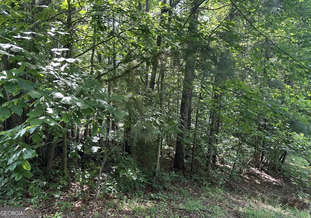 Homes for sale in Clarkesville, GA | 0 View Street, Clarkesville, GA 30523 | MLS# 10782279